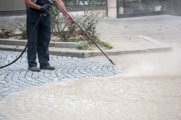 Animal Enclosure Cleaning in Omao, HI